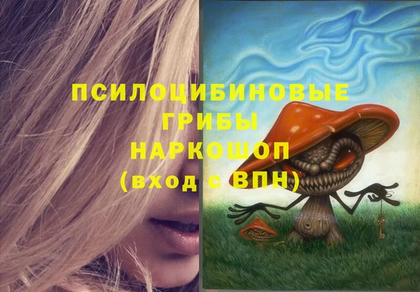стафф Арсеньев