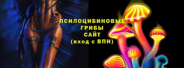 стафф Арсеньев