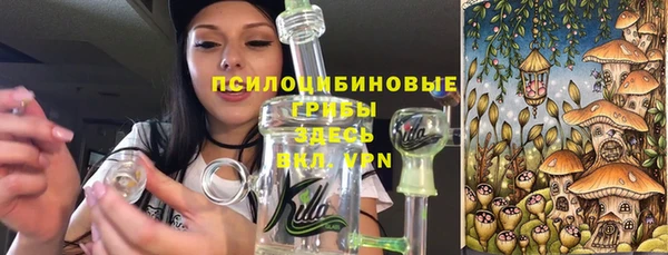 бошки Армянск