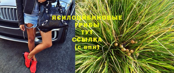 стафф Арсеньев