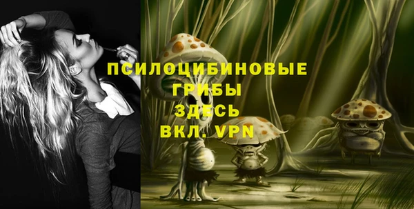 стафф Арсеньев
