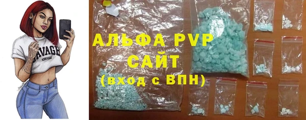 стафф Арсеньев