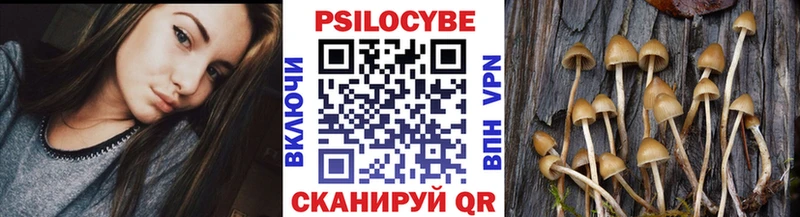 Псилоцибиновые грибы Psilocybe  закладки  Сосногорск 